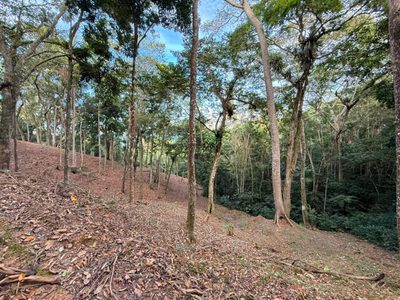 Terreno, 1260 m² - Foto 4