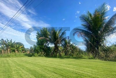 Terreno, 300 m² - Foto 3
