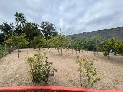 Chácara, 3 quartos, 3948 m² - Foto 2