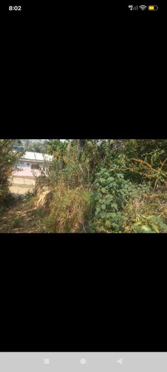 Terreno - Foto 2