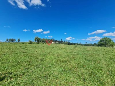 Fazenda, 126 hectares - Foto 2