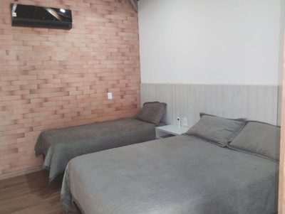 Chácara, 3 quartos, 10000 m² - Foto 4