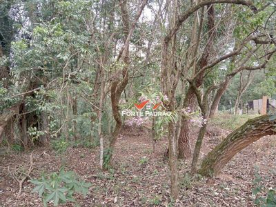 Chácara, 2 quartos, 1120 m² - Foto 3