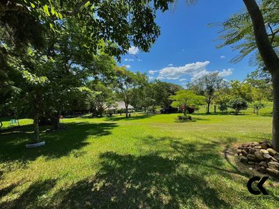 Chácara, 4 quartos, 13 hectares - Foto 2