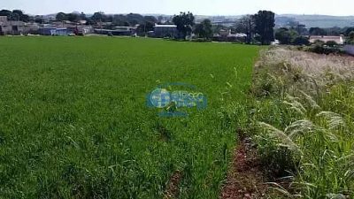 Terreno, 1 hectares - Foto 5