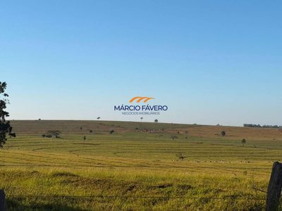 Fazenda, 1355 hectares - Foto 3