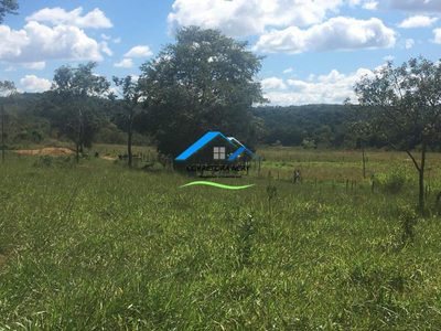 Fazenda - Foto 5