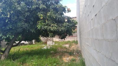 Terreno, 250 m² - Foto 2