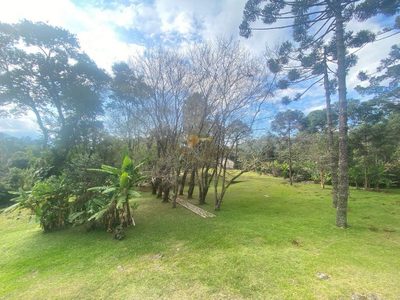 Fazenda, 10000 m² - Foto 5