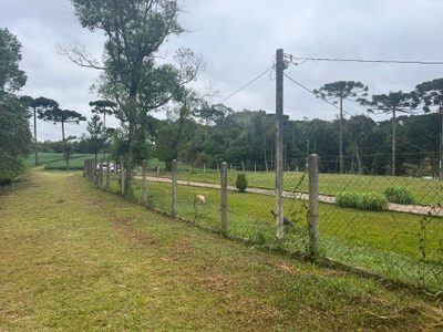 Sítio, 3 quartos, 2 hectares - Foto 4