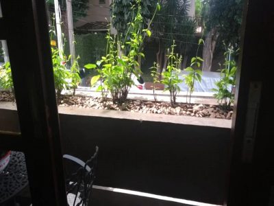 Casa, 3 quartos, 210 m² - Foto 3