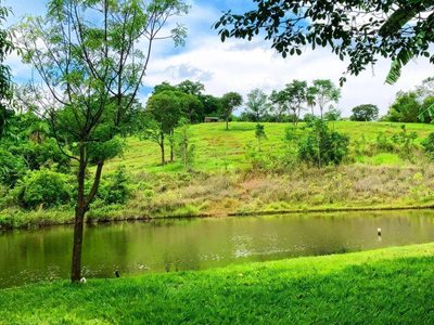 Fazenda, 63 hectares - Foto 1