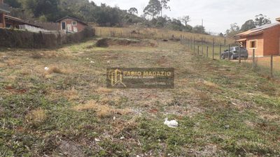 Terreno, 1000 m² - Foto 3