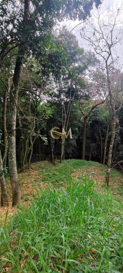 Terreno, 760 m² - Foto 4