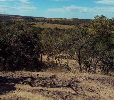 Fazenda, 723 hectares - Foto 4