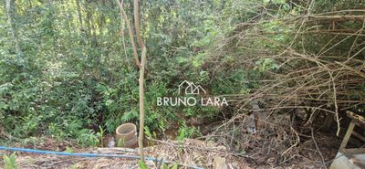 Sítio, 4 quartos, 2800 m² - Foto 3