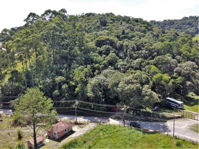 Terreno, 2 hectares - Foto 3