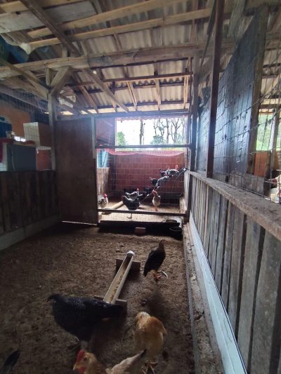 Chácara, 1 quarto, 4000 m² - Foto 2