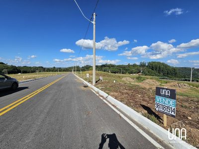Terreno, 384 m² - Foto 4