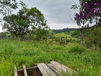 Terreno, 10000 m² - Foto 2