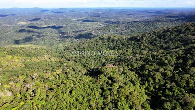 Fazenda, 52 hectares - Foto 2