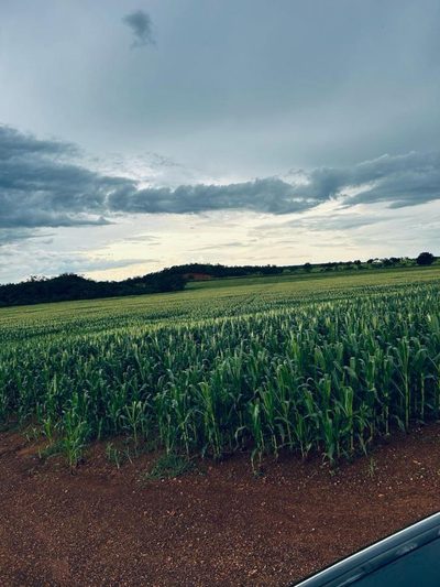 Fazenda, 1 m² - Foto 3