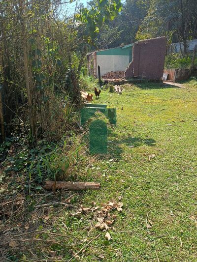 Terreno, 300 m² - Foto 1
