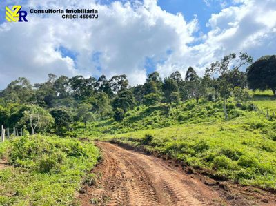 Terreno, 4 hectares - Foto 4
