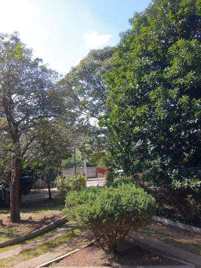 Sítio, 3 quartos, 2500 m² - Foto 3