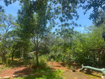 Terreno - Foto 4