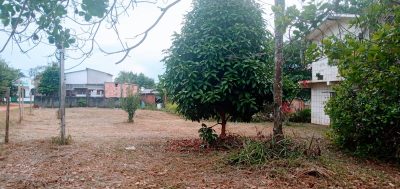 Terreno, 3920 m² - Foto 2