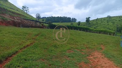 Sítio, 1 quarto, 200 m² - Foto 5