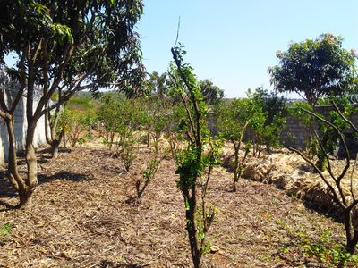 Terreno, 1015 m² - Foto 3