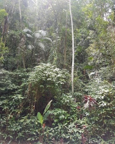 Terreno, 2050 m² - Foto 5