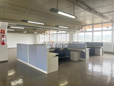 Sala-Conjunto, 615 m² - Foto 4