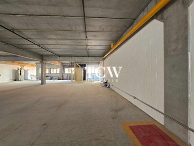 Depósito-Galpão, 1603 m² - Foto 5