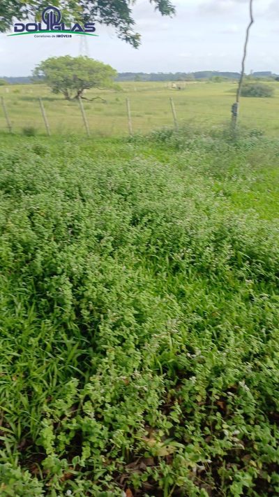 Terreno - Foto 3