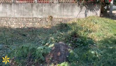 Terreno, 301 m² - Foto 4