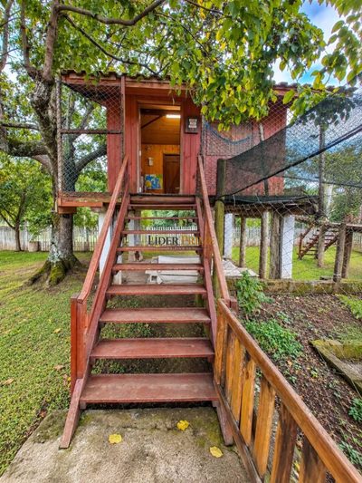 Chácara, 3 quartos, 5065 m² - Foto 3
