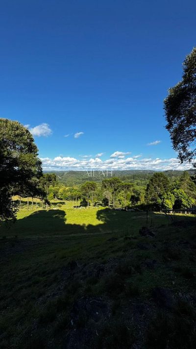 Chácara - Foto 5
