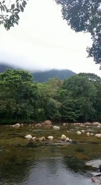 Chácara, 3 quartos - Foto 2