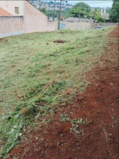 Terreno, 247 m² - Foto 5