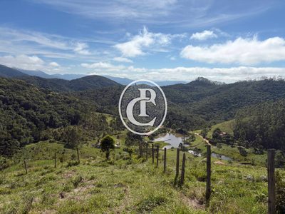 Terreno, 2 hectares - Foto 3
