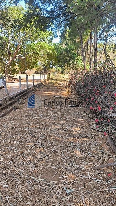 Fazenda, 2 hectares - Foto 4