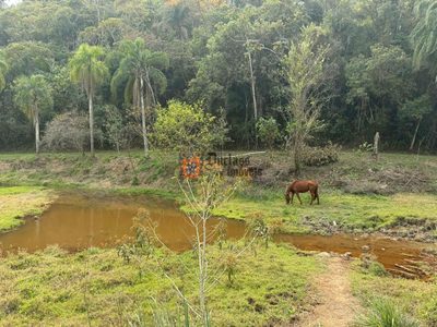 Fazenda, 24 hectares - Foto 4