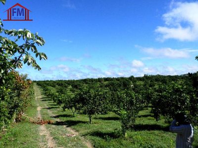 Fazenda - Foto 1