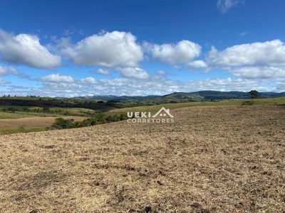 Fazenda, 327 hectares - Foto 1