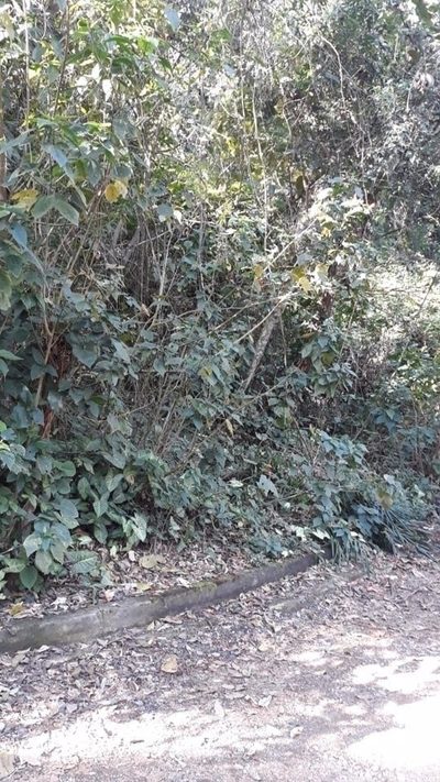 Terreno, 2800 m² - Foto 2