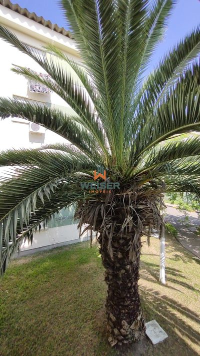 Apartamento, 2 quartos, 63 m² - Foto 2