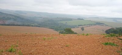 Fazenda, 339 hectares - Foto 2
